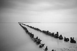 Palen in het water op het strand van Sjoerd van der Wal Fotografie