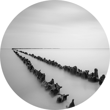 Palen in het water op het strand