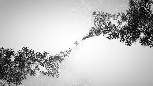 Minimalistische abstrakte Bäume Nr.1