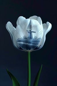 Delfts Blauwe Tulp Met Molen