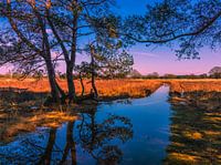 Zonsondergang met winters waterballet
