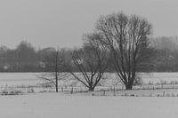 Winter 2019