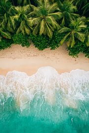 Tropisch strand met uitzicht op palmbomen van Poster Art Shop