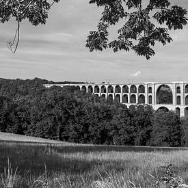 Göltzschtal Bridge - Black and White (Saxony/ Germany) by Frank Herrmann
