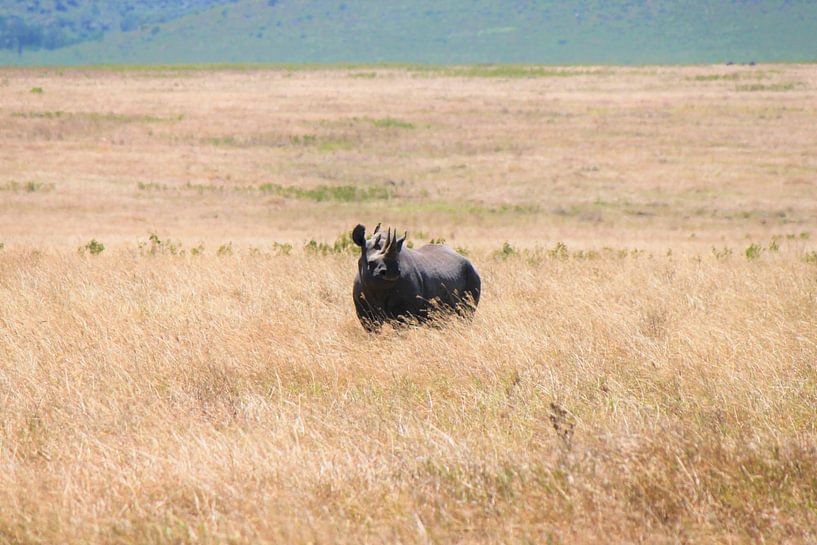 réservoir naturel par Roger Hagelstein