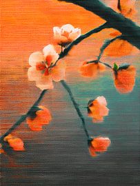 Stimmungsvoll und verträumt: Blütenzweig in warmem Orange von Studio Pieternel