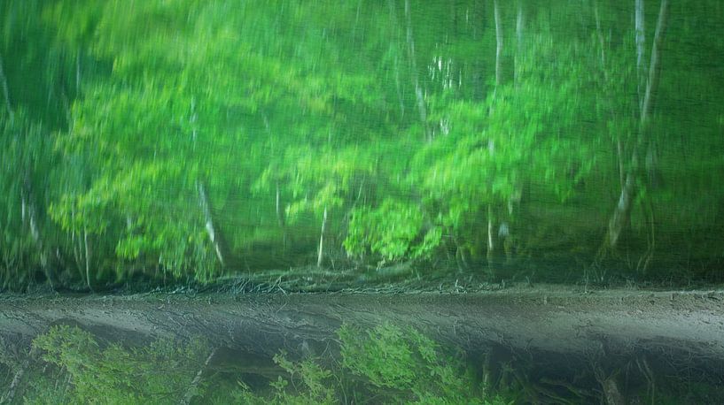 Réflexion Viridis par LANETfotografie