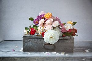 Bouquet de roses sur Diane Cruysberghs