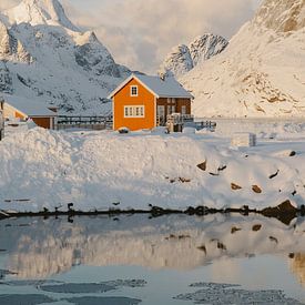 Sakrisøy, Lofoten, Norwegen von Marion Stoffels