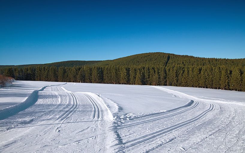 Winter landscape by Bo Valentino