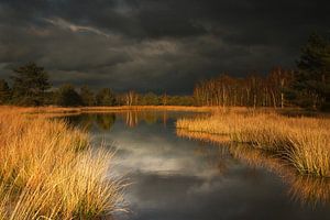 Landschap in reflectie op de Kampina. van Erwin Stevens