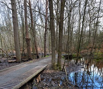Waldpanorama mit 3 Brücken von Gerard de Zwaan