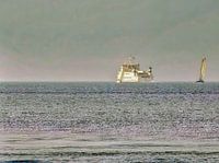 On the mudflats