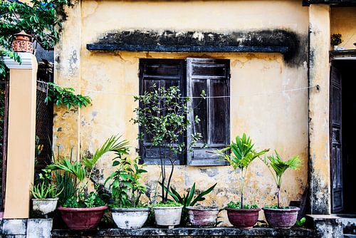 Fenster in Hoi An, Vietnam