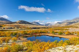 Doralen automne sur Sven-Erik Arndt