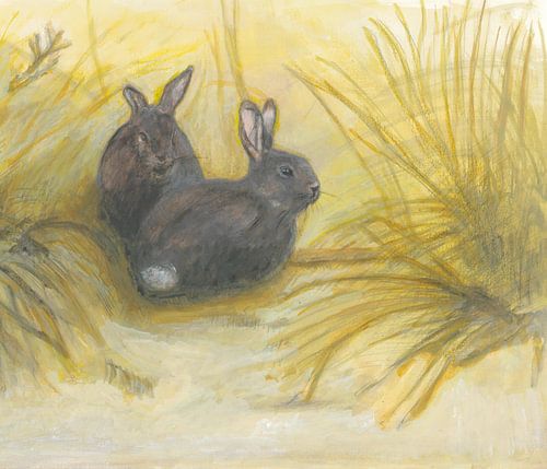 Two rabbits in the dune