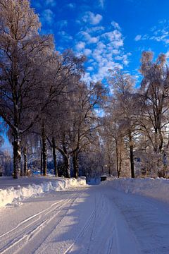 Blauwe lucht en ijzige weg van Christer Andersson