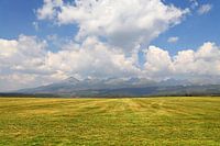 Beautiful landscape with mountains over field