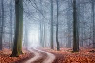 Chemin forestier dans la brume du matin par Jurjen Veerman Aperçu