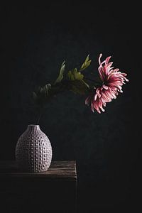 Nature morte Fleur de dahlia dans un vase