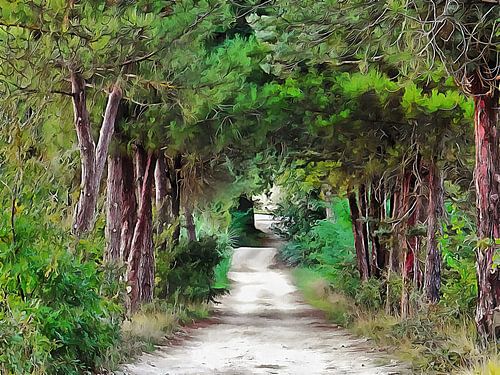 Buiten de gebaande paden
