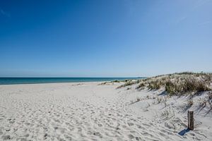 Ostseestrand und Dünen in Prerow