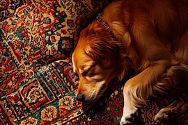 Schlafender Hund von Poster Art Shop