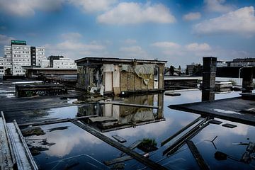 Dubbel by Laura Jansen