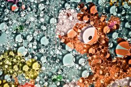 Blasenhirsch von Milou Oomens