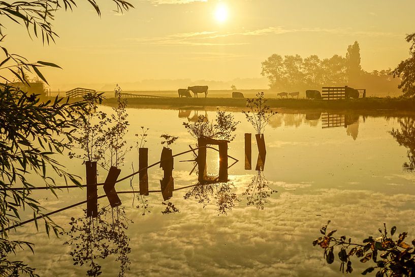 Oude zwembad in Sassenheim by Dirk van Egmond