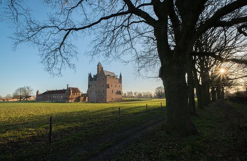 Middeleeuws Kasteel Doornenburg