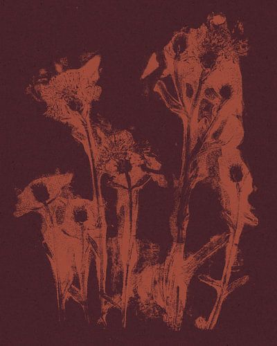 Moderne botanische kunst. Bloemen in terra op wijnrood.