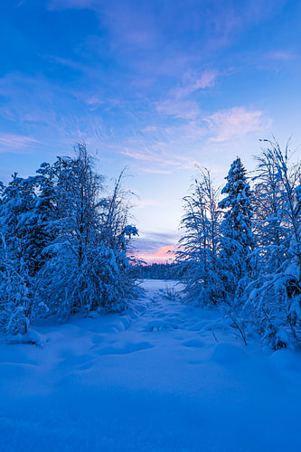 Winter landscape with sunrise in Äkäslompolo