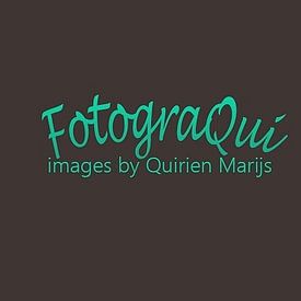 Quirien Marijs profielfoto