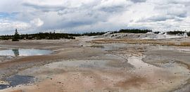 Norris-Geysir-Becken, Yellowstone-Nationalpark, USA von Jeroen van Deel