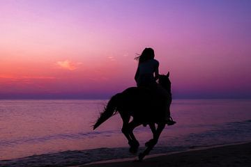 Paard met ruiter tijdens ondergaande zon
