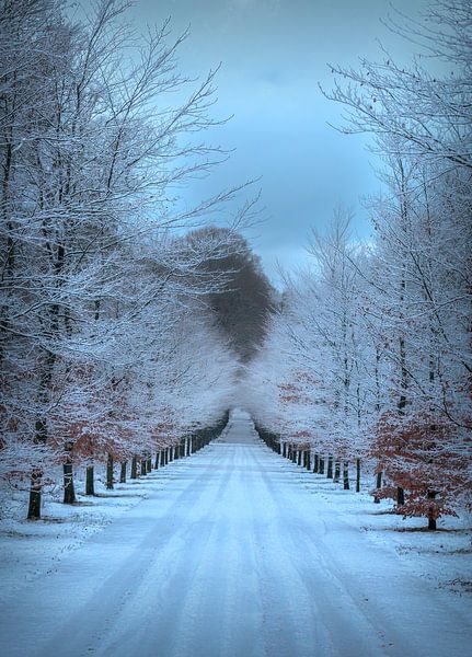 icy lane by Verliefd op Utrecht