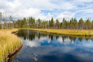 Meer in Finland van Caroline Piek