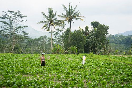 Femme balinaise à Sidemen