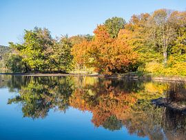 herbstliche Spiegelung im See von Animaflora PicsStock