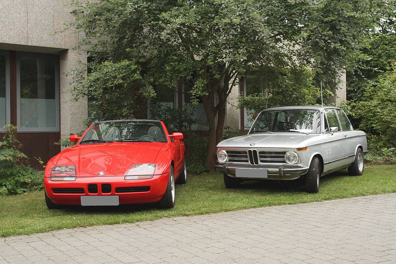 2 auf einen Streich: BMW von Anja Bagunk