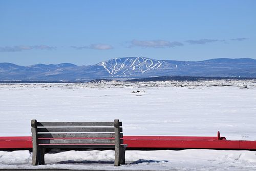 Een bankje op het dok in de winter