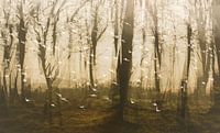 Les oiseaux tombent entre les arbres