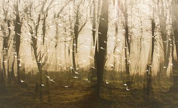 Vögel fallen zwischen die Bäume