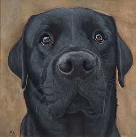 Labrador Retriever zwart portret sur Michelle Oude Avenhuis fine art