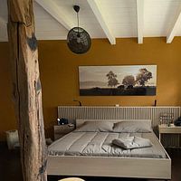 Photo de nos clients: Vaches dans la brume au lever du soleil par Affect Fotografie, sur alu-Dibond