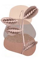 Maranta auf modernen abstrakten Formen in Beige und Braun