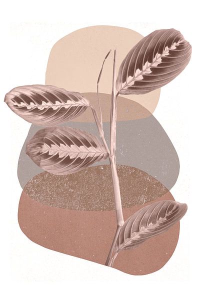 Maranta on modern abstract shapes in beige and brown by Denise Tiggelman
