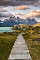 Patagonia - The way