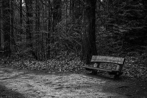 A lonely bench sur Revoliño Benschop